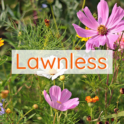 lawnless